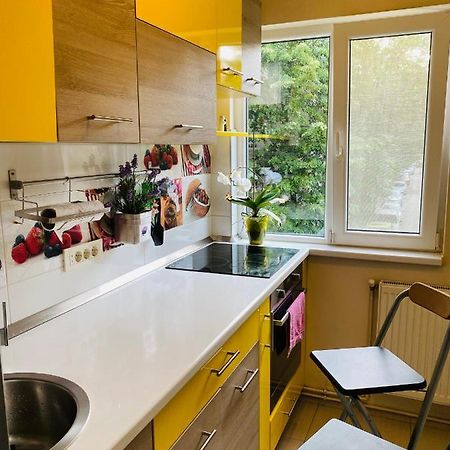 City Center Apartment Τιμισοάρα Εξωτερικό φωτογραφία