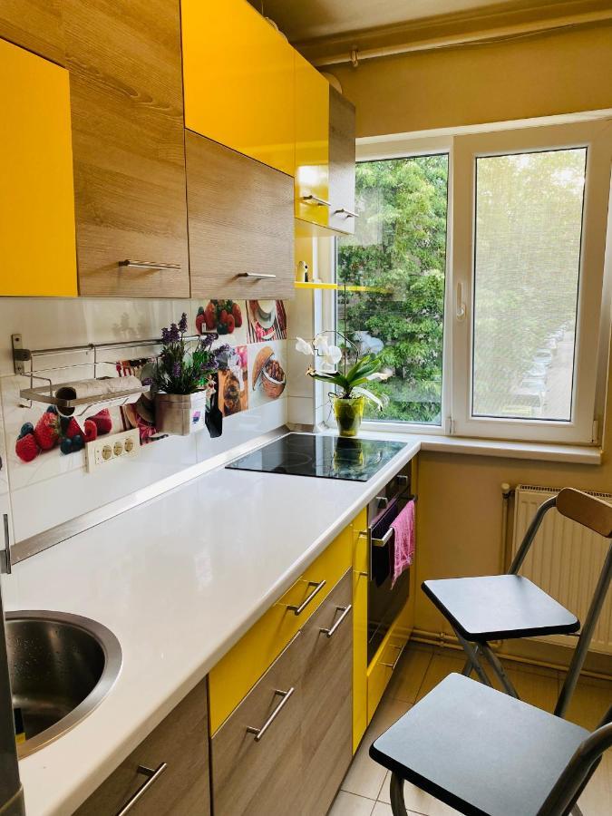 City Center Apartment Τιμισοάρα Εξωτερικό φωτογραφία