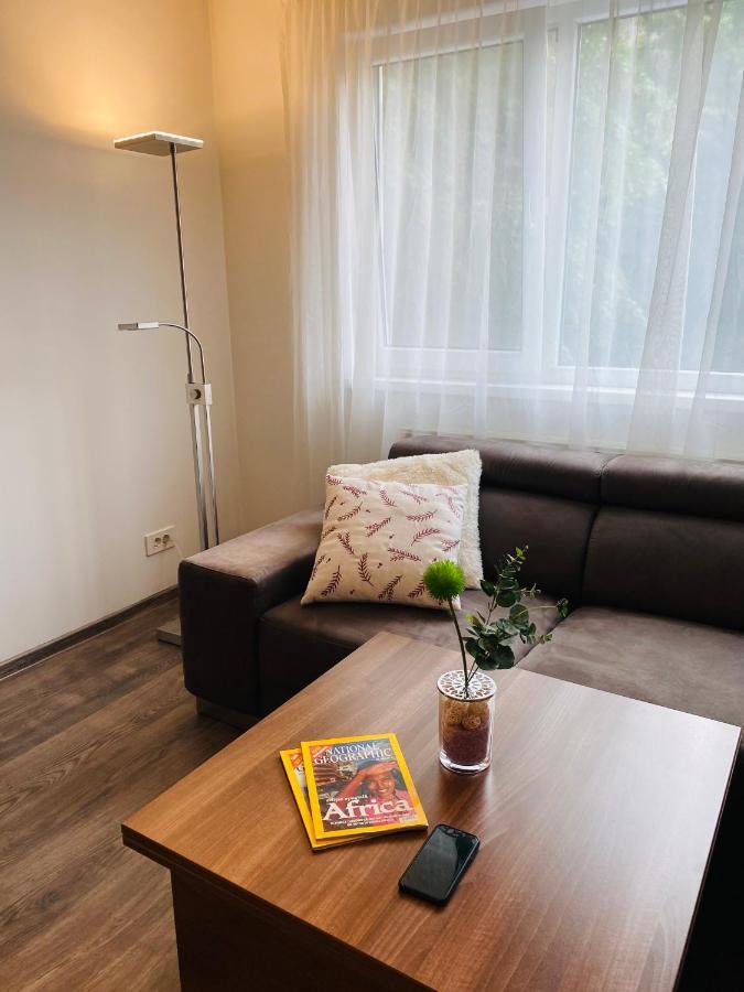 City Center Apartment Τιμισοάρα Εξωτερικό φωτογραφία