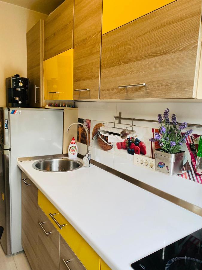 City Center Apartment Τιμισοάρα Εξωτερικό φωτογραφία